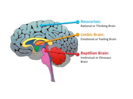 reptillian-brain