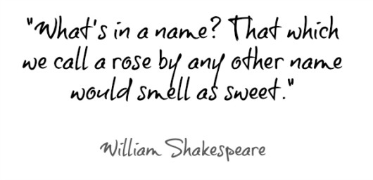 William-Shakespeare-quote-530x256.jpg